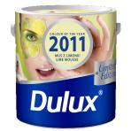 Mus z limonki - nowy kolor Duluxa